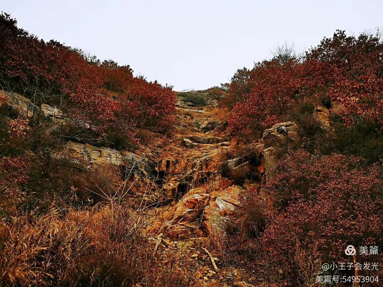 盖州小石棚洼岭